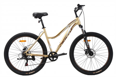 LORAK GLORY 9 Золотисто Серый рама 15 (на рост 141-160)