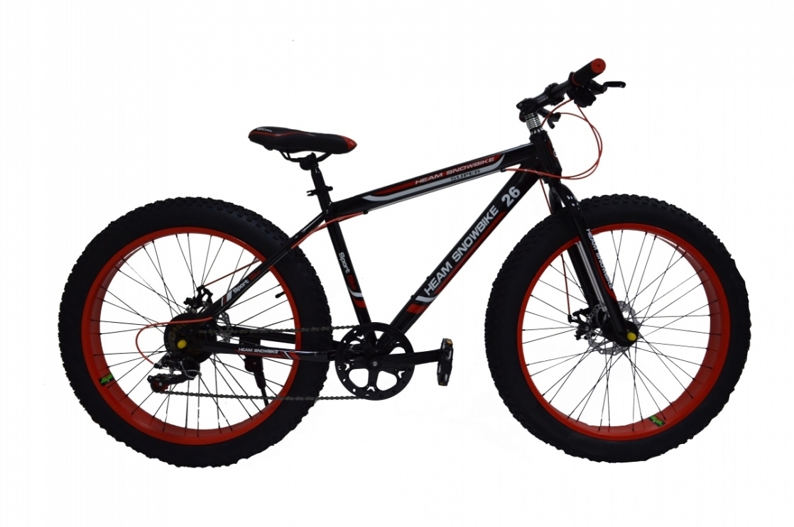 Heam Snowbike 26