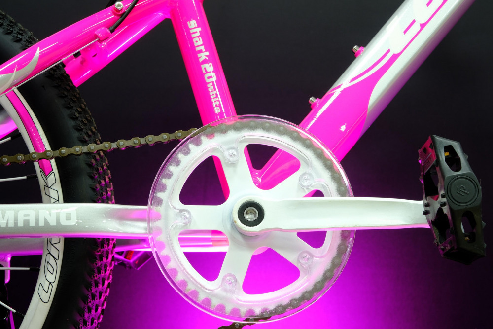 Lorak Shark 20 White