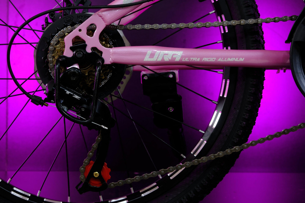 FOLTAS 22 21sp Розовый