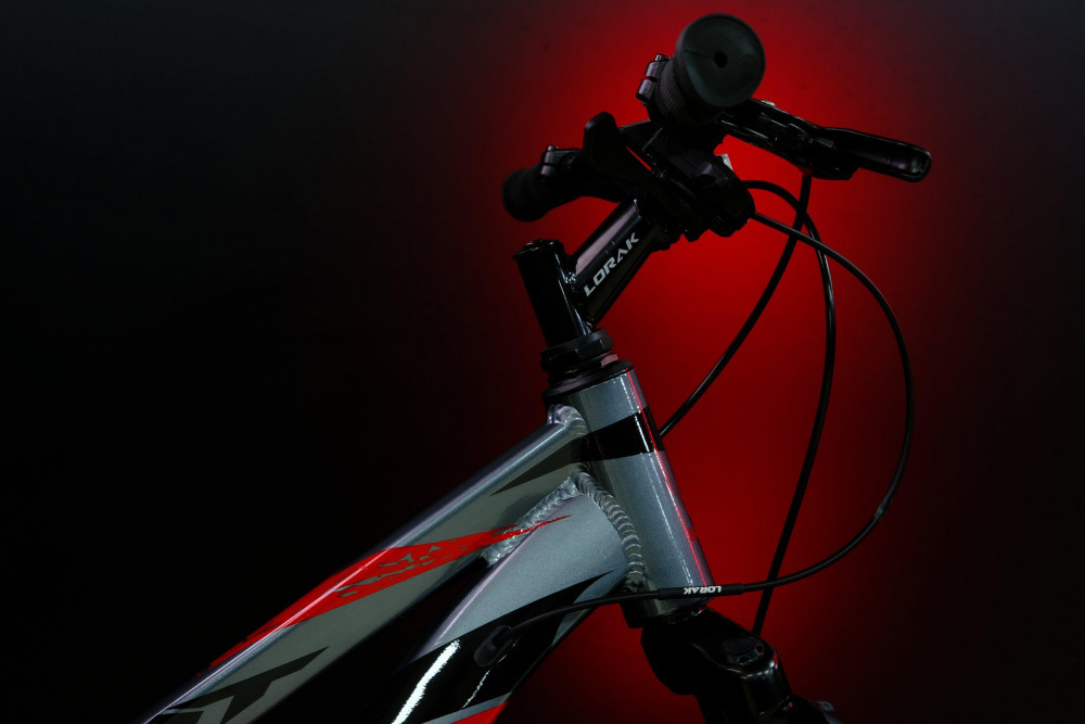 LORAK Safe 26 Серый/Красный